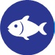 4. Hal